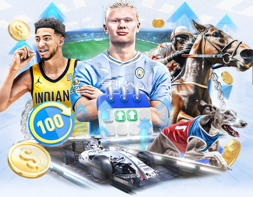 三笘薰于东京发生车祸 本人无碍造成一女子左手扭伤